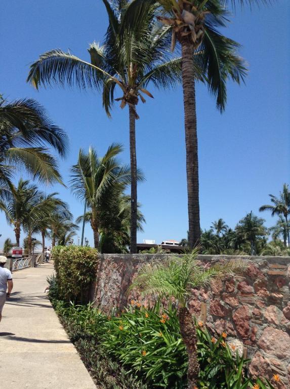 Molino De Agua Hotel Puerto Vallarta Buitenkant foto